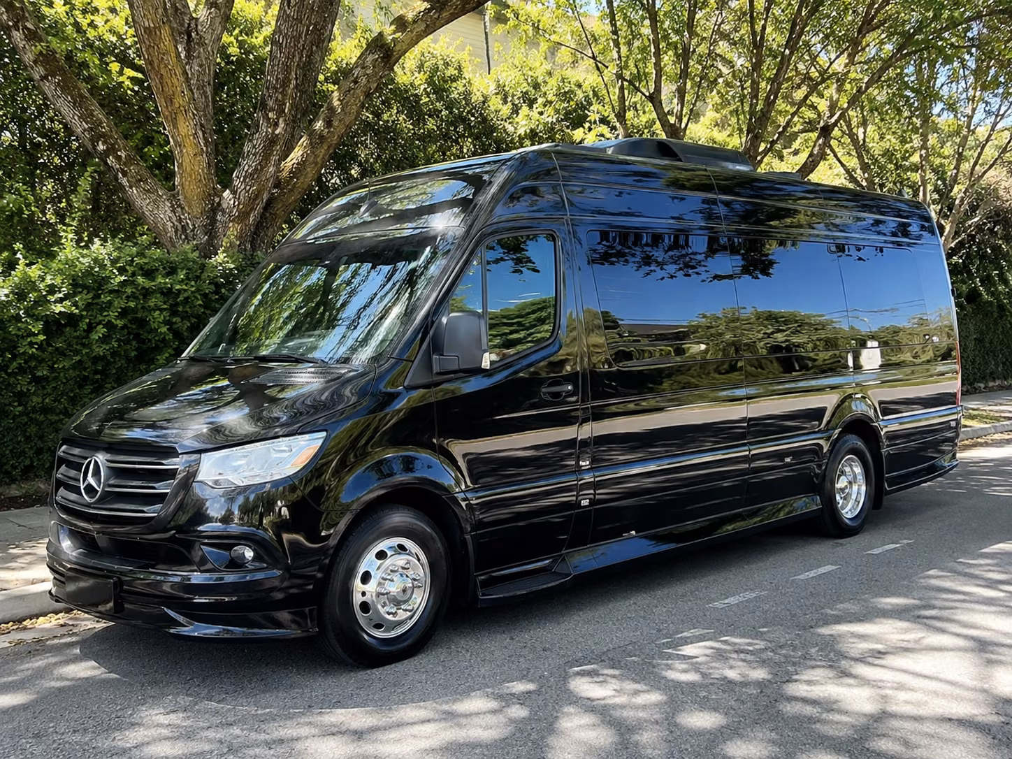 12 passenger sprinter van
