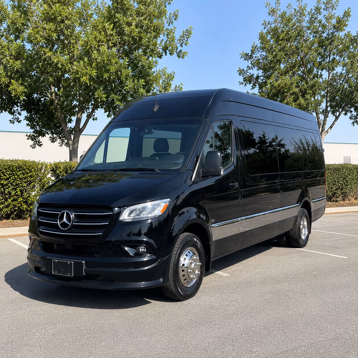 escondido 18 passenger sprinter van